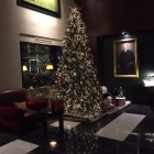 sofitel3